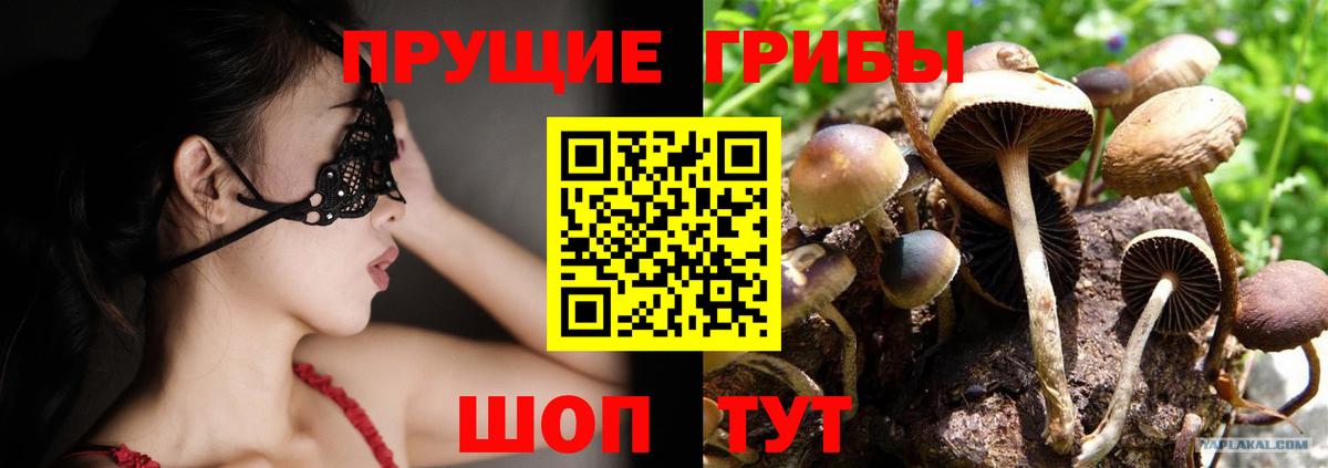 купить наркотик  Галлюциногенные грибы мицелий  Вход с VPN  Галлюциногенные грибы Psilocybe  Ртищево 