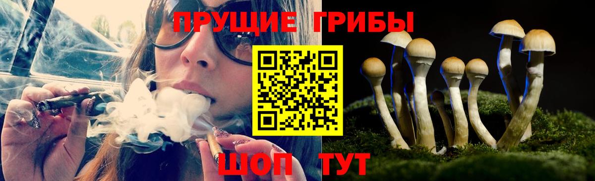 Галлюциногенные грибы мухоморы Ртищево